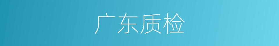 广东质检的同义词