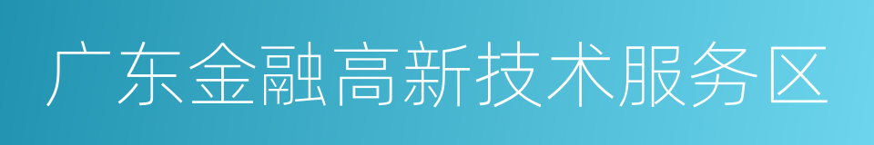 广东金融高新技术服务区的同义词