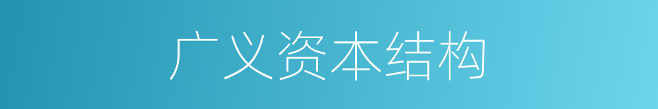 广义资本结构的同义词
