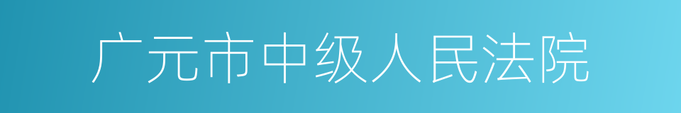 广元市中级人民法院的同义词