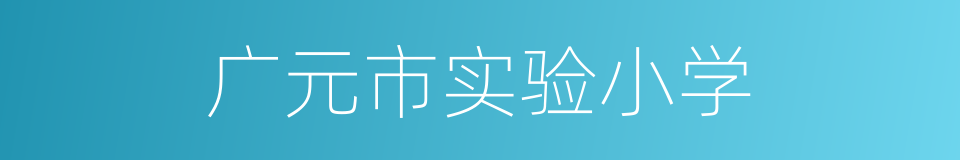 广元市实验小学的同义词