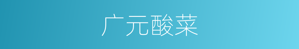 广元酸菜的同义词