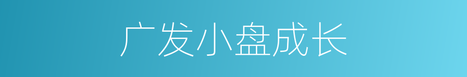 广发小盘成长的同义词