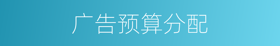 广告预算分配的同义词