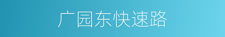 广园东快速路的同义词