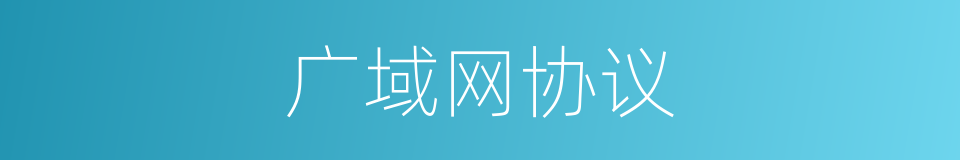广域网协议的同义词