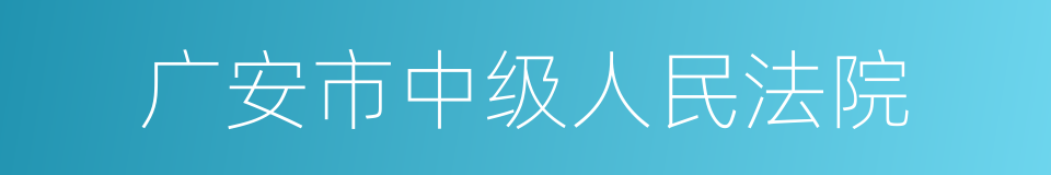 广安市中级人民法院的同义词