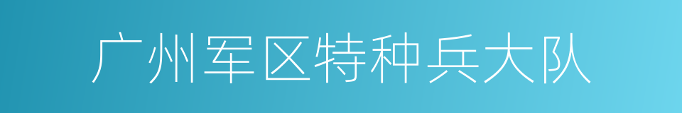 广州军区特种兵大队的同义词