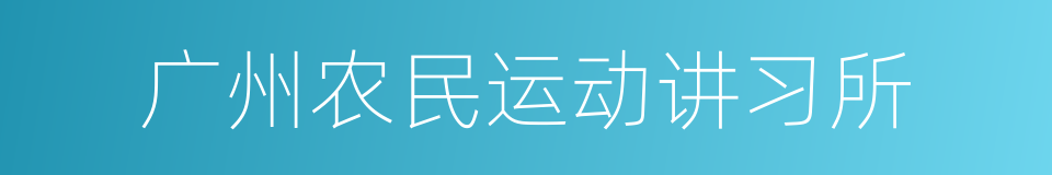 广州农民运动讲习所的同义词