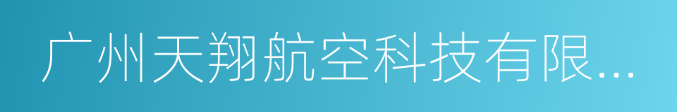 广州天翔航空科技有限公司的同义词