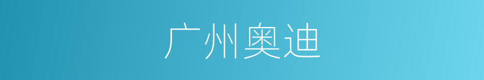 广州奥迪的同义词