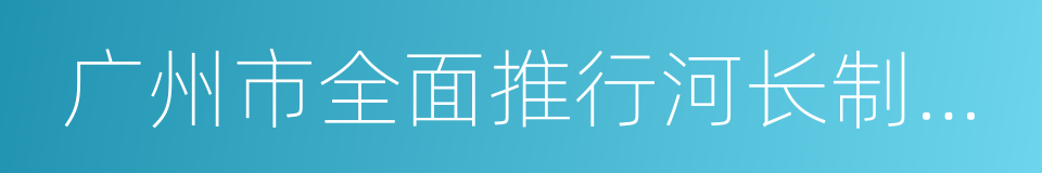 广州市全面推行河长制实施方案的同义词