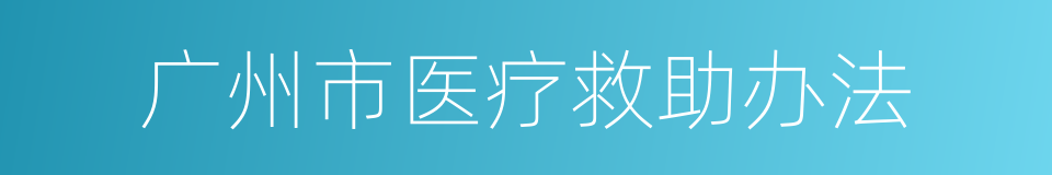 广州市医疗救助办法的同义词