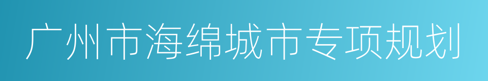 广州市海绵城市专项规划的同义词