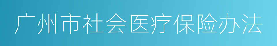 广州市社会医疗保险办法的同义词