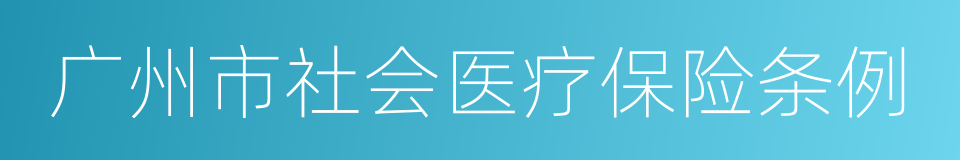 广州市社会医疗保险条例的意思