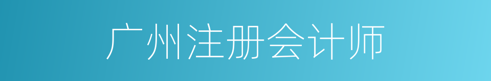 广州注册会计师的同义词