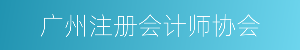 广州注册会计师协会的同义词