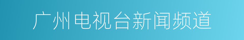 广州电视台新闻频道的同义词