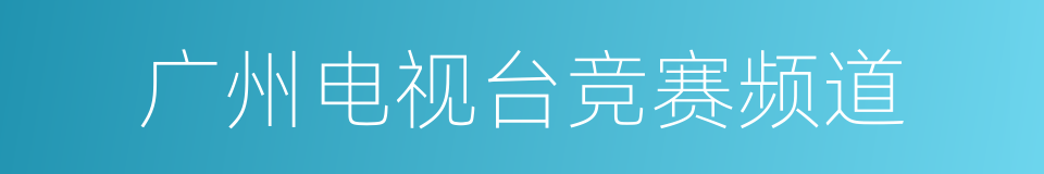 广州电视台竞赛频道的同义词