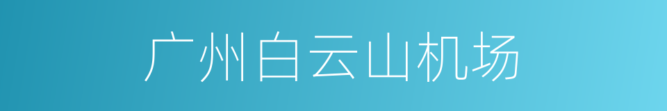 广州白云山机场的同义词