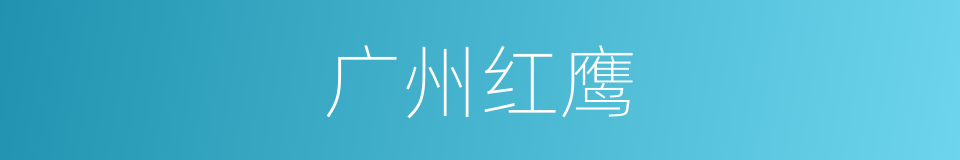 广州红鹰的同义词