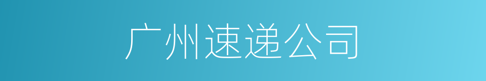 广州速递公司的同义词