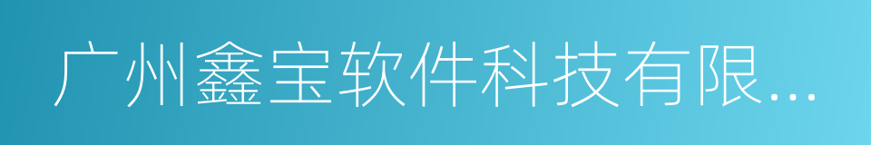 广州鑫宝软件科技有限公司的同义词