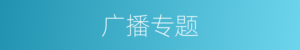 广播专题的意思