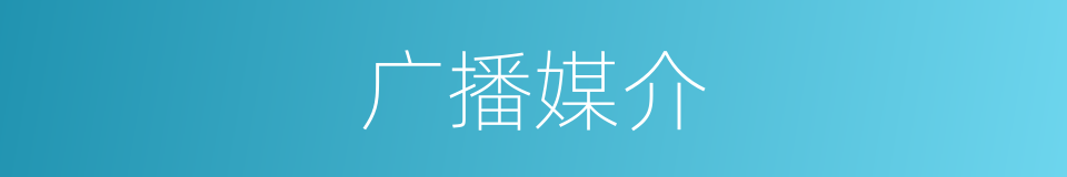 广播媒介的同义词