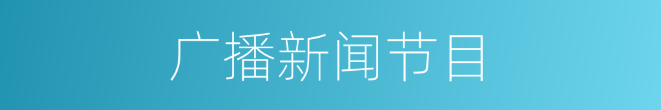 广播新闻节目的同义词