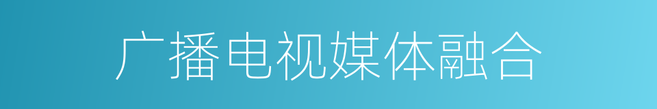 广播电视媒体融合的同义词