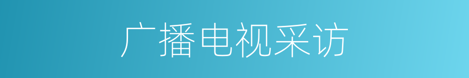 广播电视采访的同义词