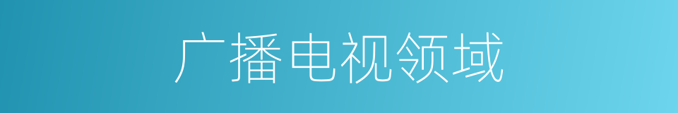 广播电视领域的同义词