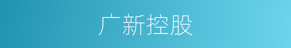 广新控股的同义词