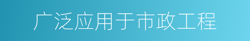 广泛应用于市政工程的同义词