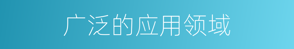 广泛的应用领域的同义词