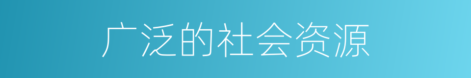 广泛的社会资源的同义词