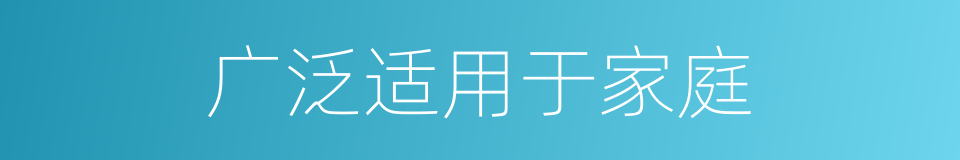 广泛适用于家庭的同义词