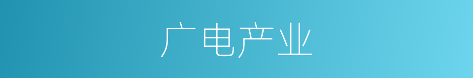 广电产业的同义词