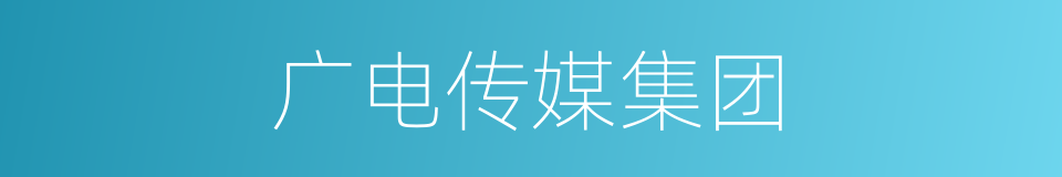 广电传媒集团的同义词