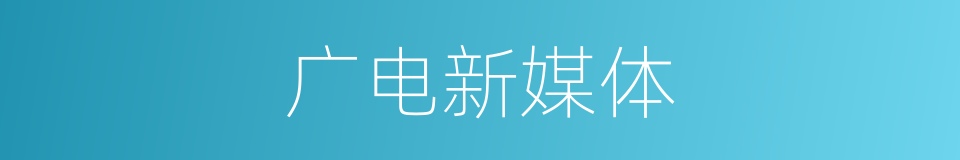 广电新媒体的同义词