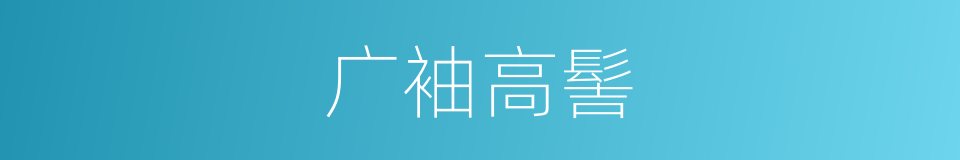广袖高髻的意思