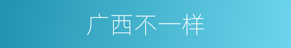 广西不一样的同义词
