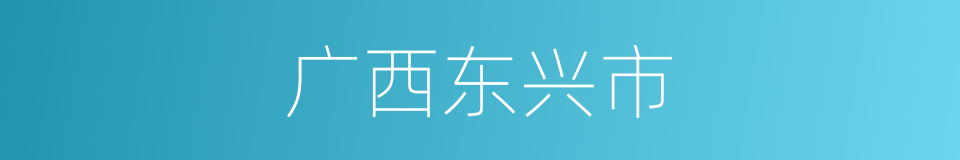 广西东兴市的同义词