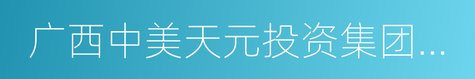 广西中美天元投资集团有限公司的同义词