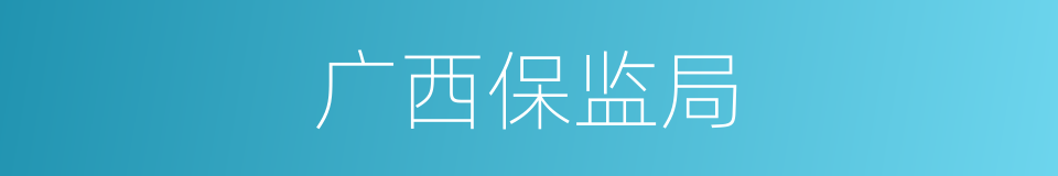 广西保监局的同义词