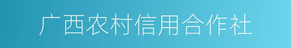 广西农村信用合作社的同义词