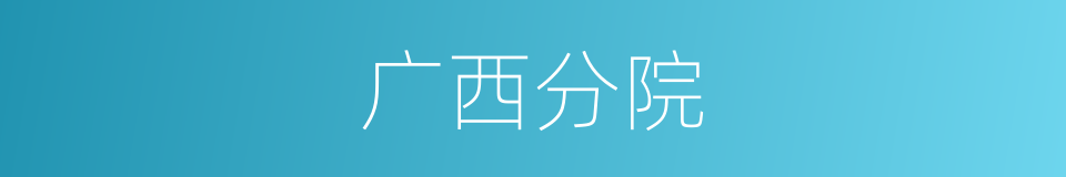 广西分院的同义词
