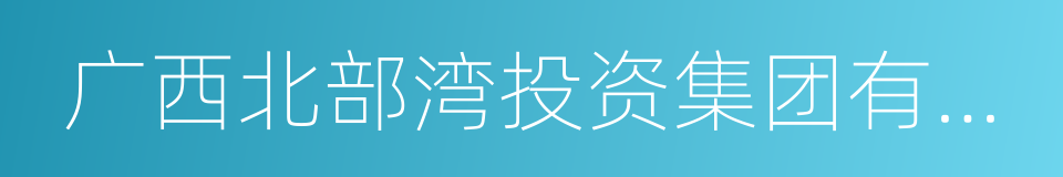 广西北部湾投资集团有限公司的同义词